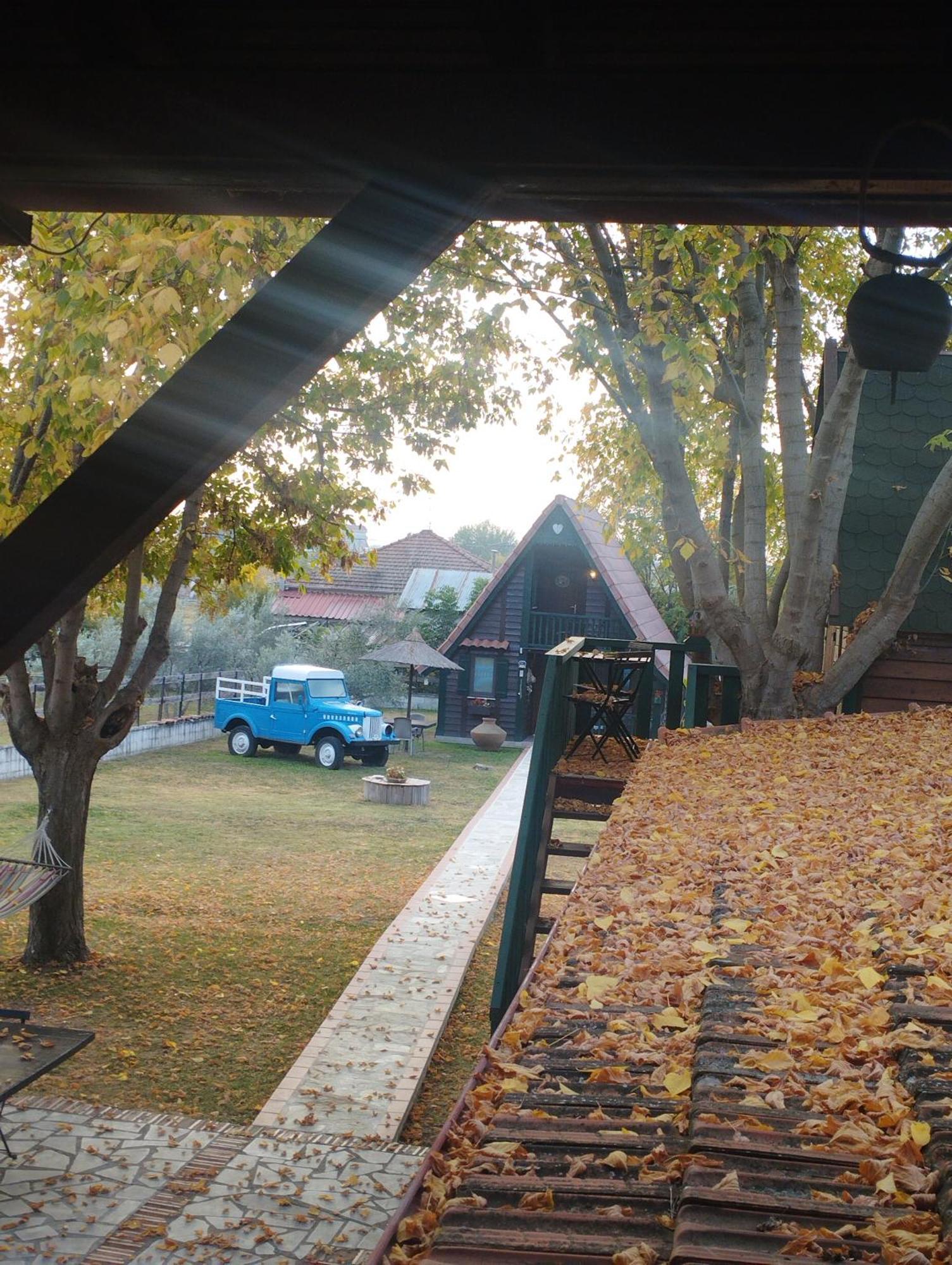 Traditional Guesthouse Trikala  Exterior photo