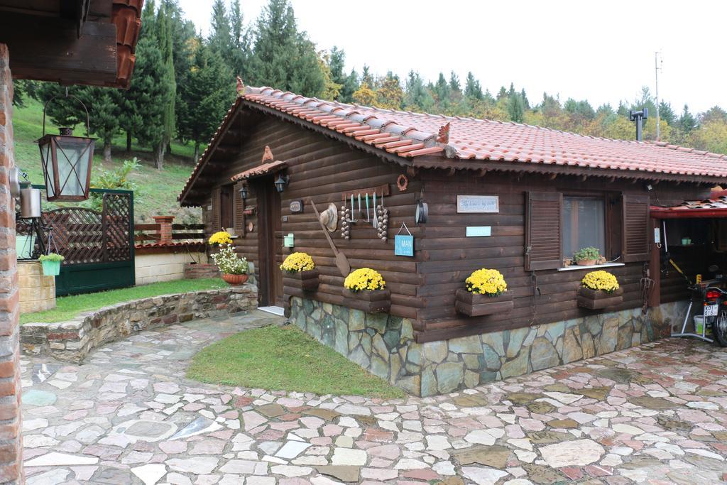 Traditional Guesthouse Trikala  Exterior photo